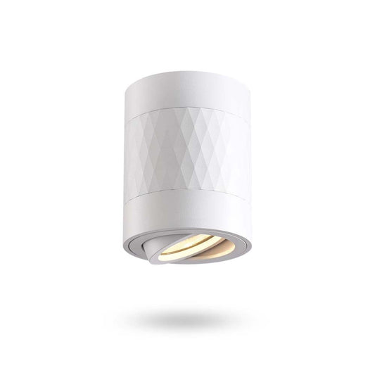VIDEX SPF04A-WPW spotlight fixture 30W white — product view