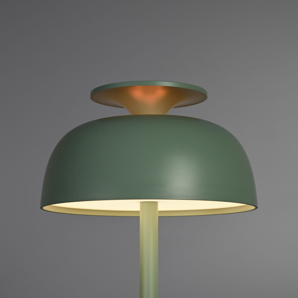 VIDEX TF23G desk lamp 8.5W green — official view 4