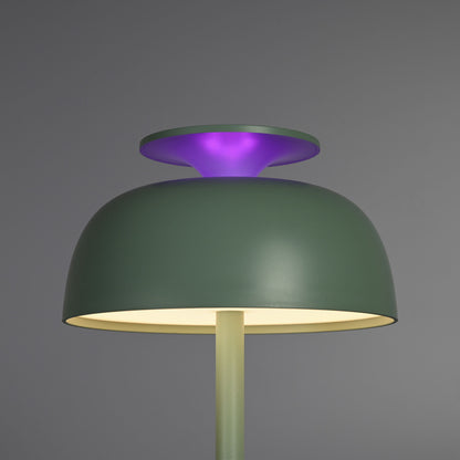 VIDEX TF23G desk lamp 8.5W green — official view 5