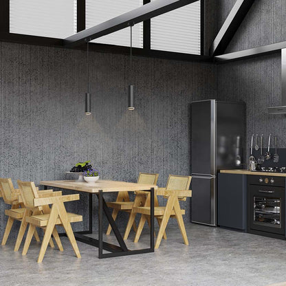 VIDEX Tatum GU10 pendant spotlight