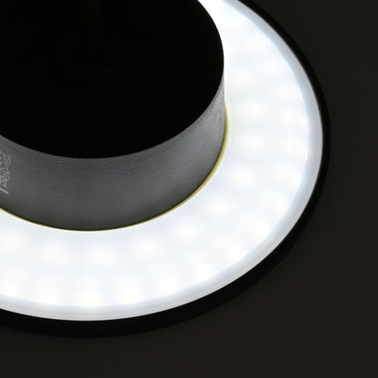 VIDEX VL-WL03 12 W black wall light