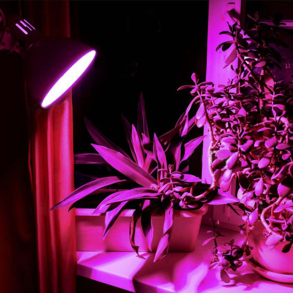 VIDEX A60 LED grow bulb 8 W E27, 1200 K – official product image 3