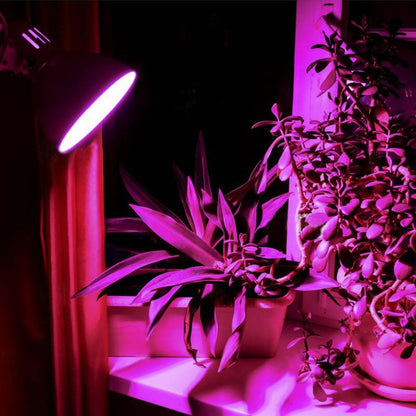 VIDEX A60 LED grow bulb 8 W E27, 1200 K – official product image 3